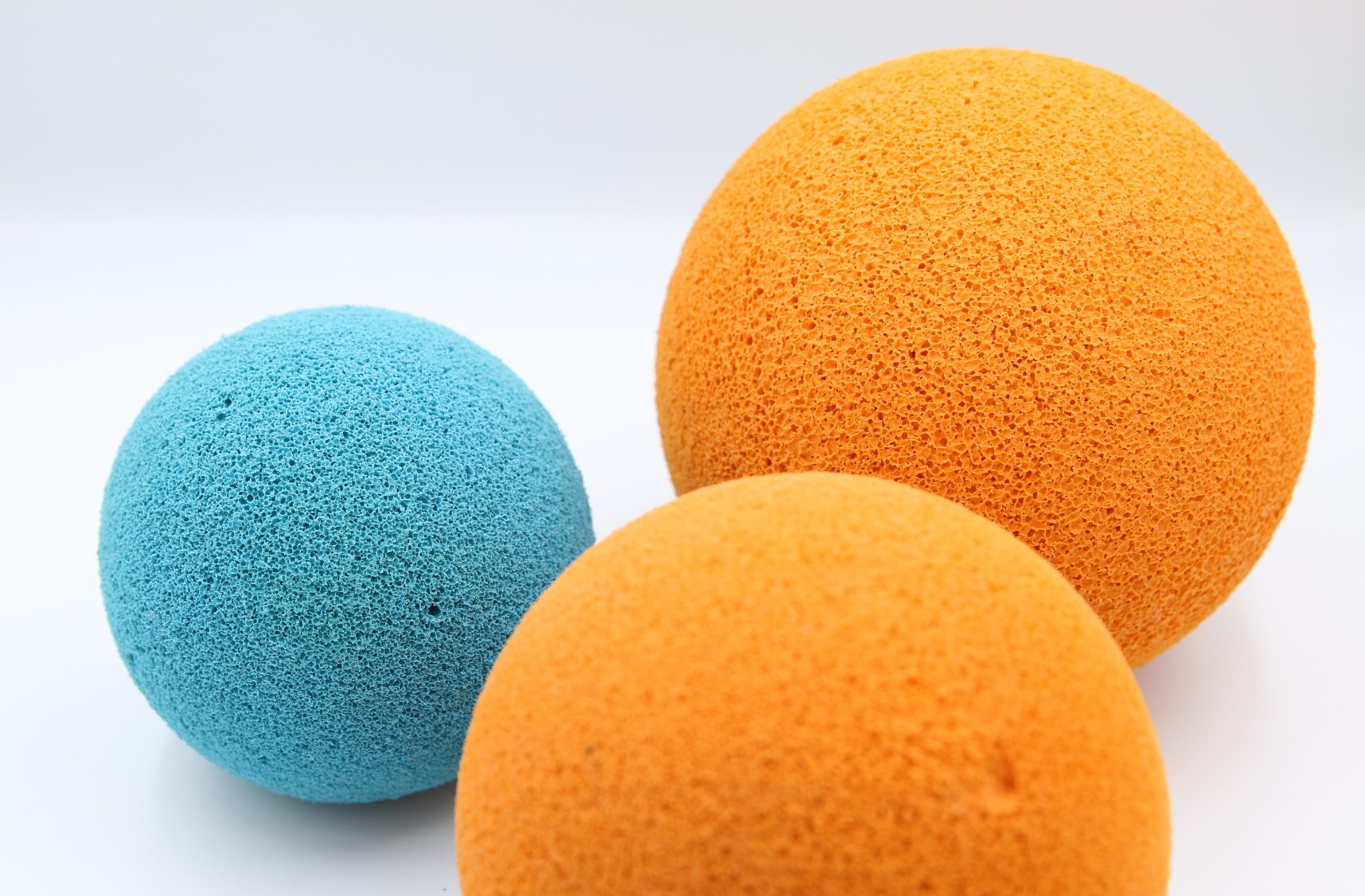 img 6512 e1774947610479.jpg